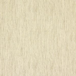 Beauvoir Eucalyptus